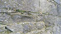acastle 105790.jpg
